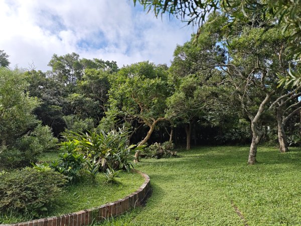 [百山百鳥尋旅-02/15] 2025_0809 社頂自然公園步道2856890