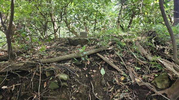 20250924法雨寺步道-鳳梨宅-第八公墓-詹氏宗祠-泉源國小宿舍-東昇路菜園-緣園農場2894228