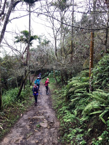台南第一高山大凍山240797