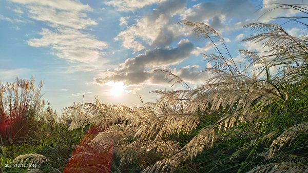 八里左岸夕陽火燒雲10/12&紗帽路上的夕陽10/142621702