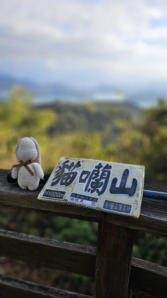 240131-午後輕鬆走訪日月潭四秀，小百岳#049貓囒山。美美兔的寒假作業。