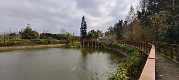 2026/02/08_老銃櫃、、三連埤步道 雙O型2995861