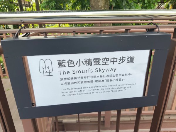 九九峰氦氣球樂園3055618