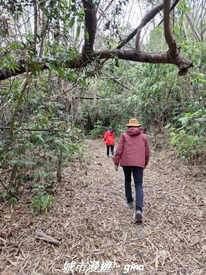 【高雄田寮】小百岳大崗山x大崗山磐龍峽谷步道3013144