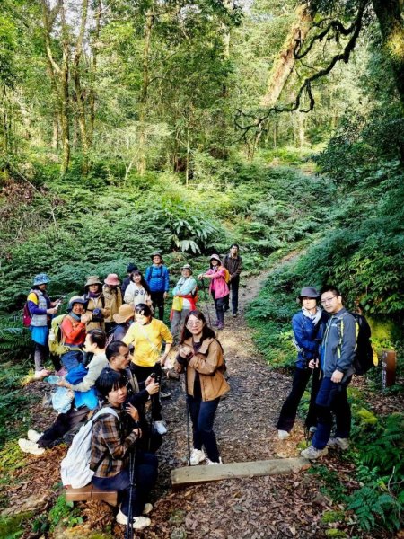 1141122特富野古道2945777