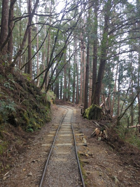 2026.02.14－特富野古道3013730