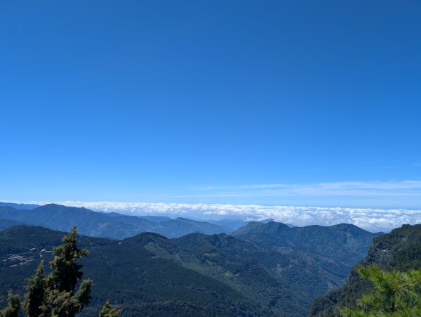 二訪阿里山國家森林遊樂區之大塔山對高岳之旅2991644