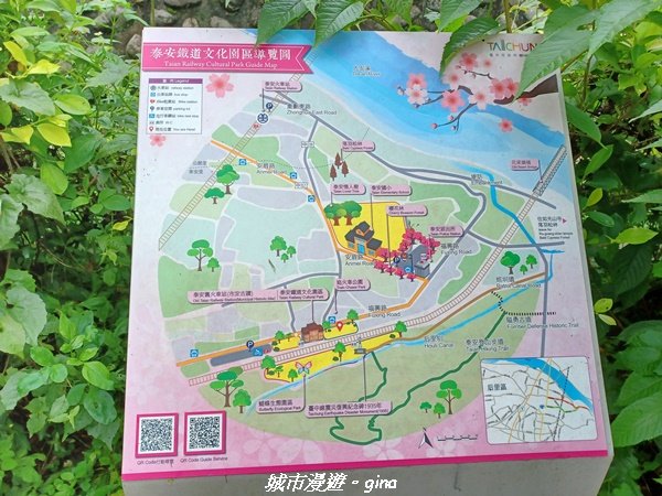 【台中后里】蓊鬱林間。 后里泰安登山步道1728731