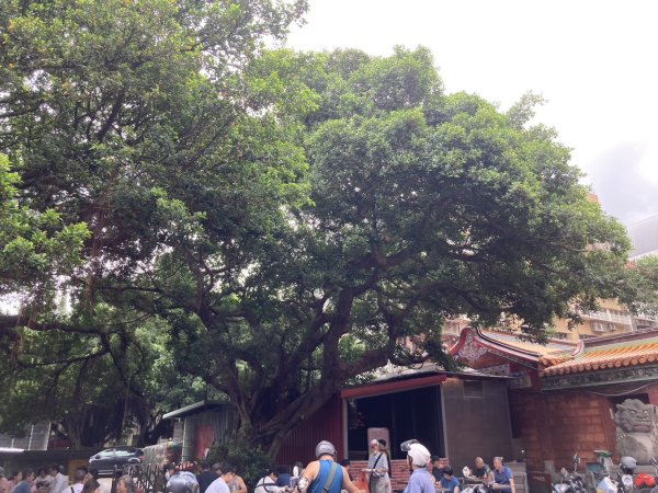 璀璨耀眼的夜景 - 大直美麗華、大稻埕、大港墘公園【臺北健走趣】【健走複利】2604564