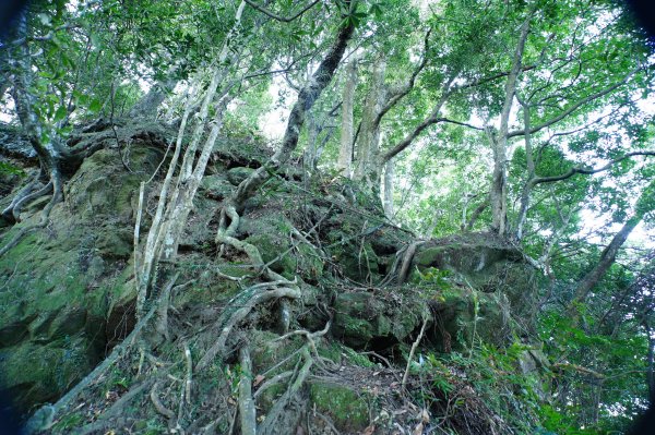 新北 三峽 內詩朗山、金平山2950925
