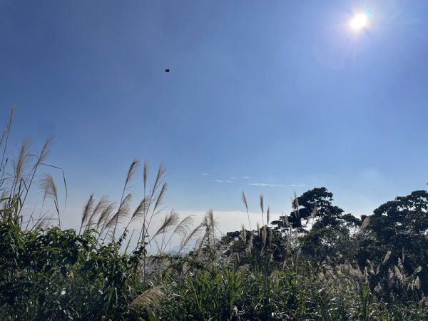 崁頭山&竹子尖山2964387