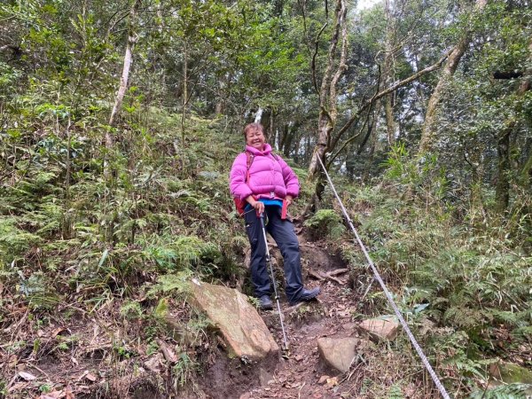 鵝公髻山（小百岳）鵝公髻山東北峰2449841