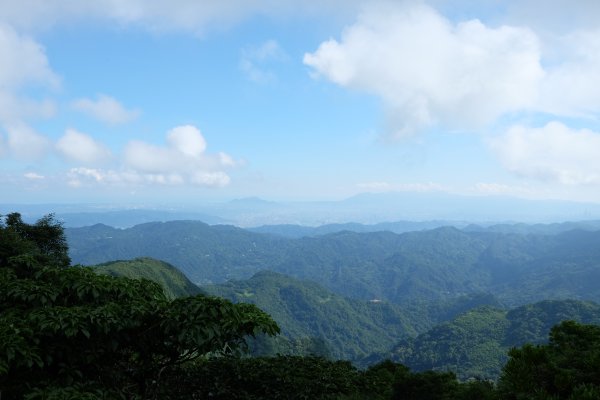 桃園復興區  東卡O縱2823812