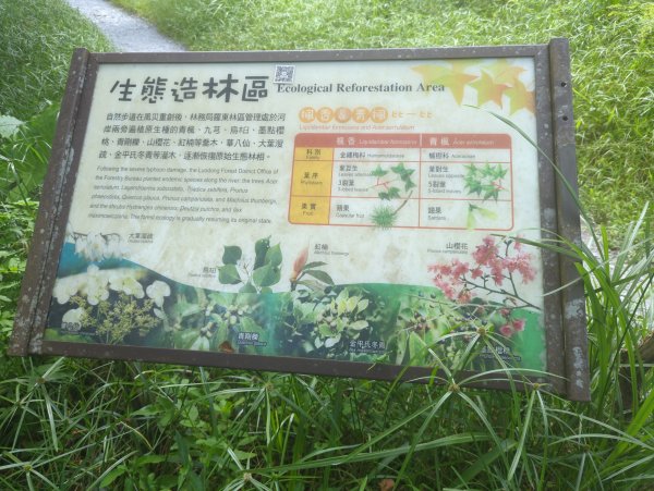 2025.08.09－新寮瀑布2856179