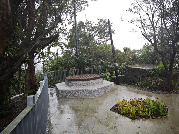 2026_0131 獅球嶺北峰2997793