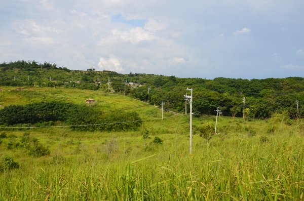 王田山 & 學田山1072887