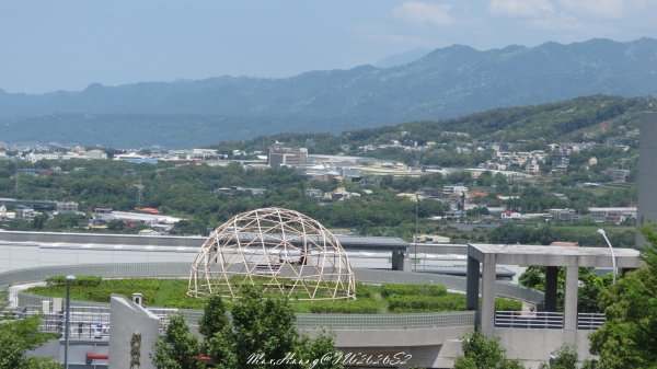《苗栗》卵石桐花｜好客公園雪桐步道202604263042956
