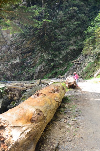 合歡溪步道～～讓人屏息驚艷的靖藍溪流步道1020509