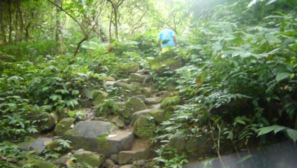 桃園-台灣百大必訪步道+小百岳：石門山封面