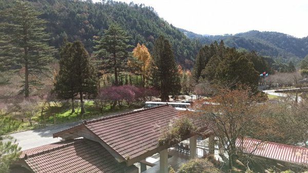 漫山奼紫，斑爛璀璨的武陵農場