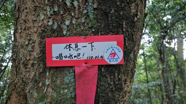 田薯O型連走(田寮山、毬子山、水頭排山、鎮石山、薯園山)全紀錄2289659