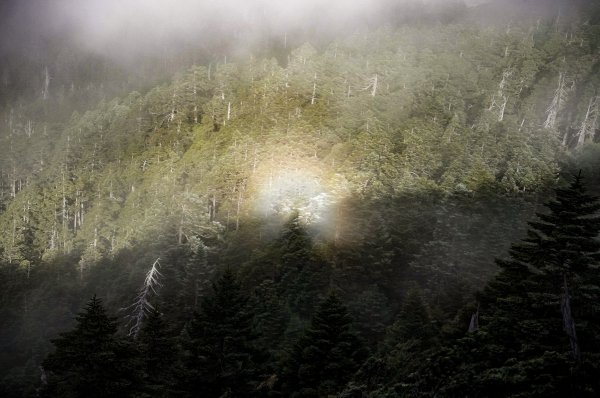 帝王之座-南湖東峰線｜南湖東峰＋陶塞峰＋馬比杉山2884900