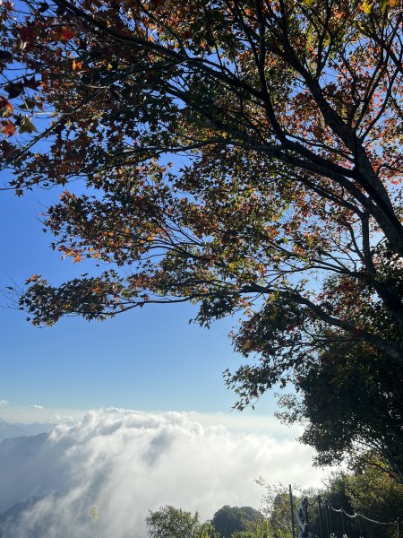 小百岳-馬那邦山2636001