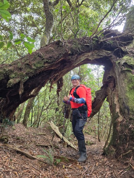 1130511夫拉縱走2501643