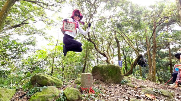 田薯O型連走(田寮山、毬子山、水頭排山、鎮石山、薯園山)全紀錄2289660