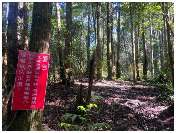 武界山、獅凸魯山、橫屏山、橫屏山西峰 連走2846123
