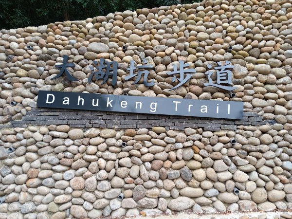 微笑山線大棟山系百年大榕樹段+大湖坑步道2981041