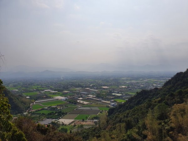 旗尾山步道（小百岳）1323666