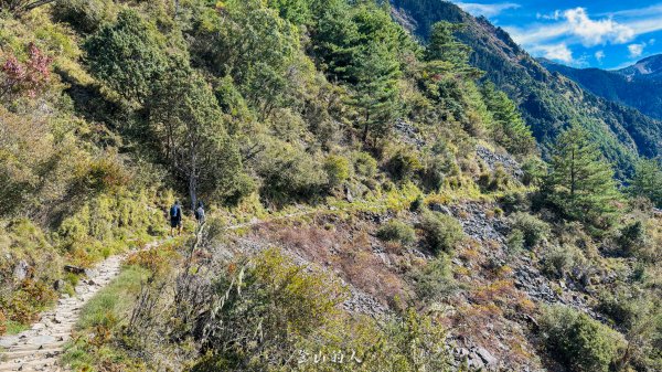 玉山前峰淨山紀錄2968419