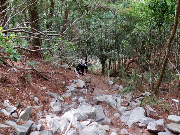 谷關七雄~波津加山293431