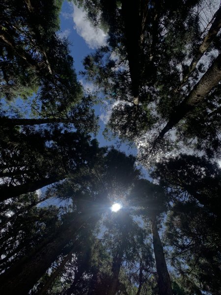 20250517義義兒玉山-東水山2791637