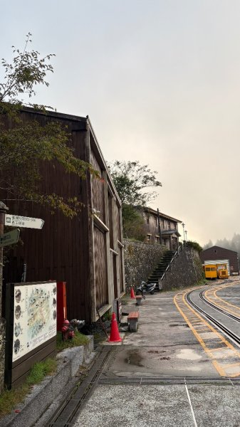 鐵杉林