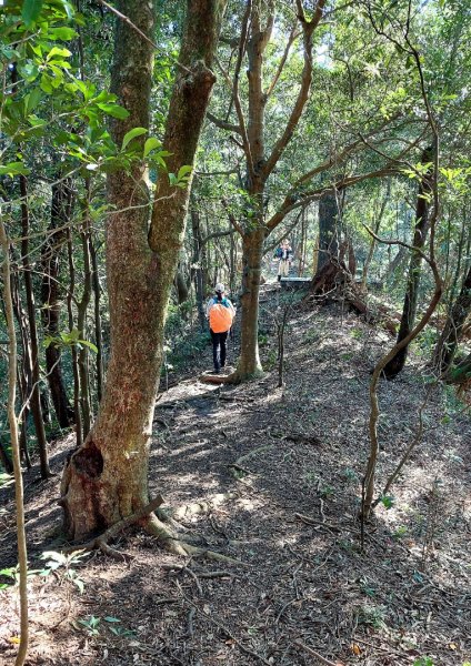 安坑五山縱走2784633