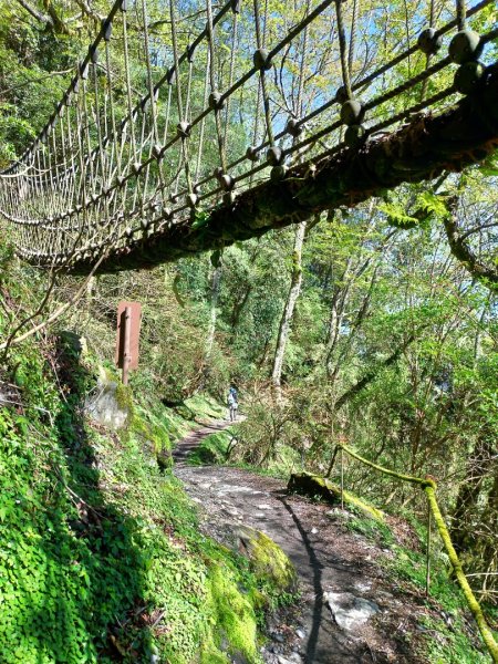 檜山巨木群步道1662822