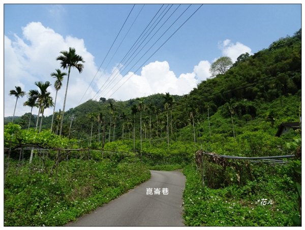 北打鐵坑山(台中、和平)1689415