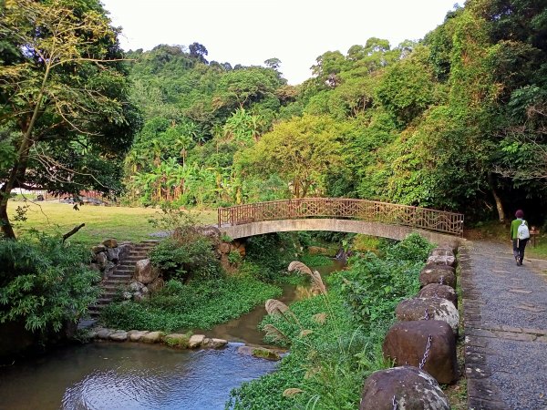 【臺北大縱走 4】【南山神壽任務尋寶趣】美拍花團錦簇的大溝溪溪畔步道1574071