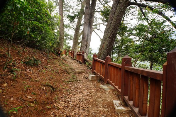 南投 仁愛 松風山3052499