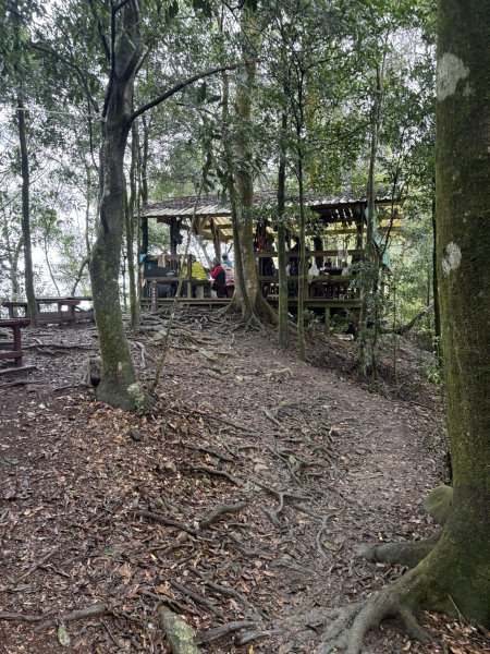 20251227尾寮山登山步道2970520