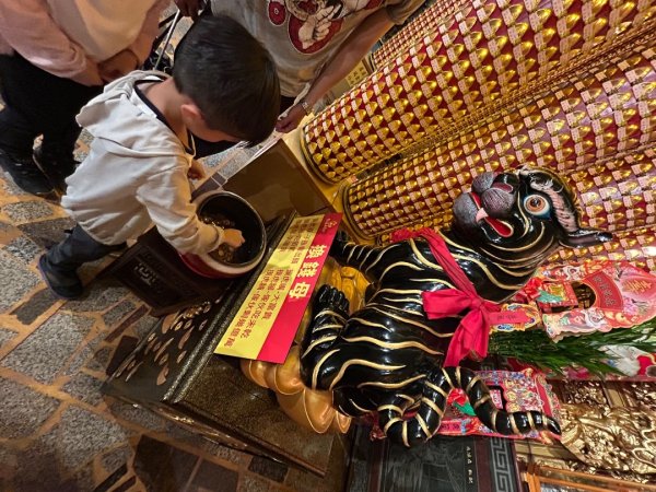 擁抱自然健走趣2843905