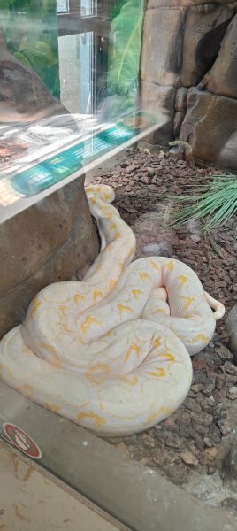 杭州動物園3089157