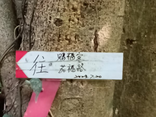 汐止區茄苳越嶺古道+上鹿窟崙山+九層坪山+四分尾山+大尖山8字走2981547