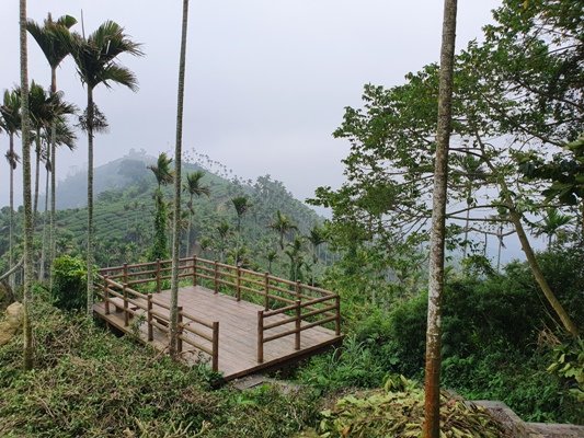 1090405後棟山連走大二尖山908352