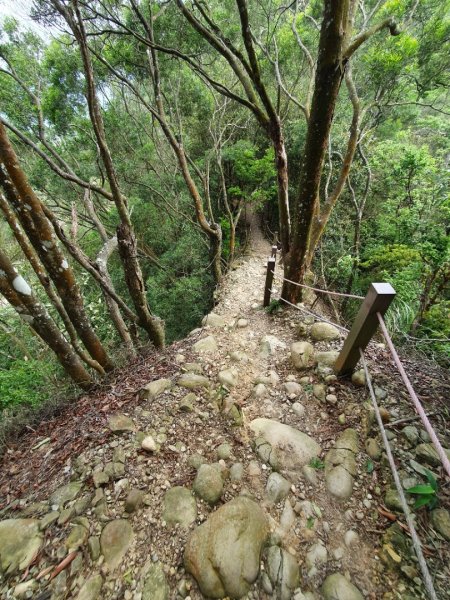 鳶嘴山，醜崠山，長壽山，榛山步道，三員縱走，文林古道，高梘頭山，糖塔山，鐘樓古道1691661