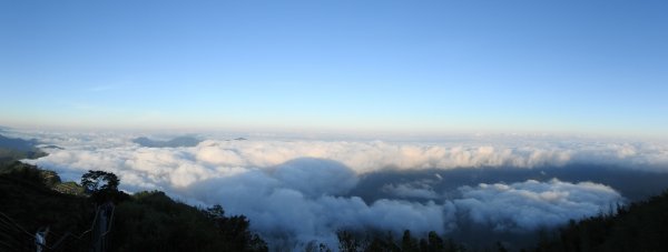 最高小百岳-大塔山2663M&阿里山二延平步道1775003