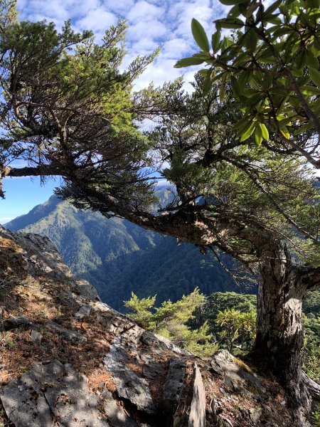 【雪劍縱走】完美谷、劍南大草原、大小劍山1152190