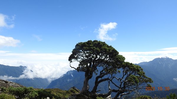 第八次合歡山主/東/北峰單攻-雲海/觀音圈&日出火燒雲/夕陽火燒雲2332208